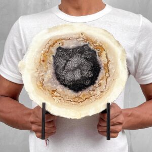 Handcrafted Petrified Palm Root on Custom Stand (Large)