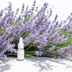 Essential Oil 10ml - Lavender