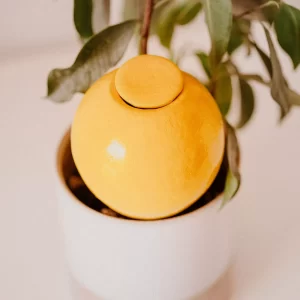 POTTERIE LUTTON - Mini Ollas - Citrus (200ml)