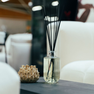 Luxury Reed Diffuser - Breeze (500ml)