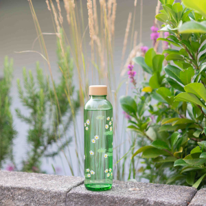 CARRY Glass Waterbottle (700ml | Green Daisy)