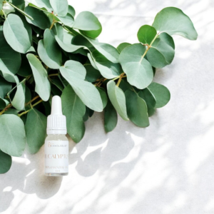 Essential Oil 10ml - Eucalyptus